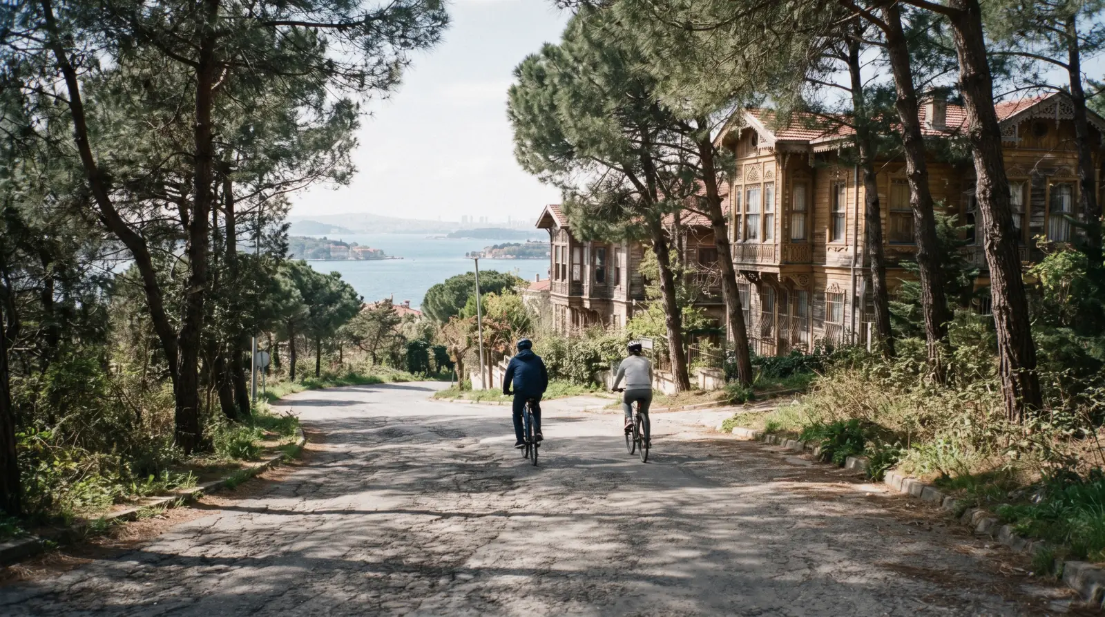 Wooden mansions and pine woods above the harbour on Buyukada in the Princes Islands, Istanbul, Türkiye